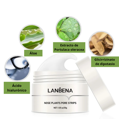 Mascarilla Puntos Negro CLEAN UP